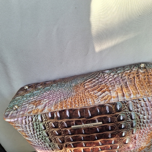 Brahmin Small Elaine - Truffle Python - Picture 5 of 5